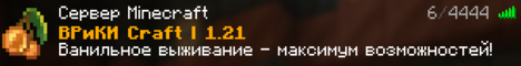 ВРиКИ Ванильный сервер