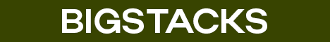 BigStacks - Выживание без вайпов