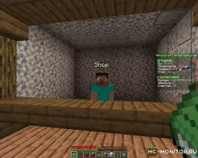 Скриншот 3 Terra Bitgramm сервер Майнкрафт