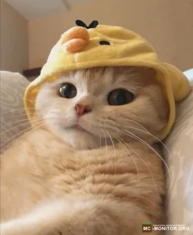 Скриншот 2 OnlyEnd ➤ 1.19.2 сервер Майнкрафт