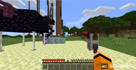 Скриншот 1 BrrMc сервер Майнкрафт