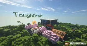 Скриншот 1 ToughCraft сервер Майнкрафт