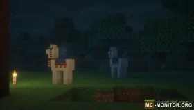 Скриншот 3 AquaMine | Выживание без читов и привилегий сервер Майнкрафт